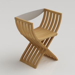 Ligne Roset Curule Chair